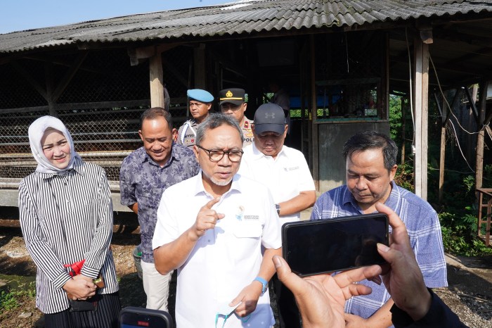 Kunjungan ke Peternakan Ayam Petelur Jati Farm di Kabupaten Bandung ... Ternak ayam petelur di Musatfak, Kab. Jayawijaya
