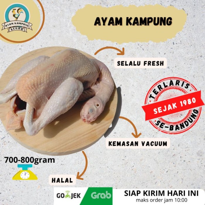 Harga ayam kampung potong di Campaka Mulya, Cianjur