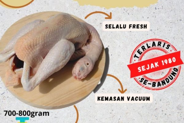 Harga ayam kampung potong di Pusakanagara, Subang