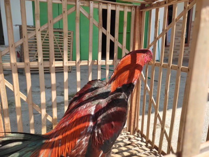 PETA KECAMATAN BANJAR MARGO KABUPATEN TULANG BAWANG - TRISNO MARSA PETA KECAMATAN BANJAR MARGO KABUPATEN TULANG BAWANG - TRISNO MARSA