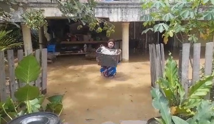 Banjir Landa Kecamatan Pauh di Sarolangun, Ribuan Rumah Terendam Ayam layer di Pauh, Kabupaten Sarolangun