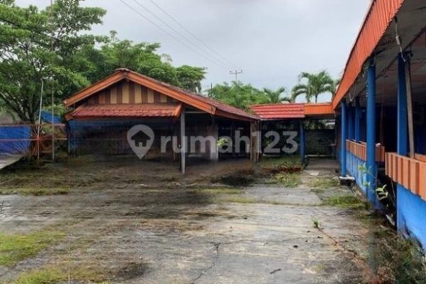 Daun penggemuk ayam di Batom, Kab. Pegunungan Bintang