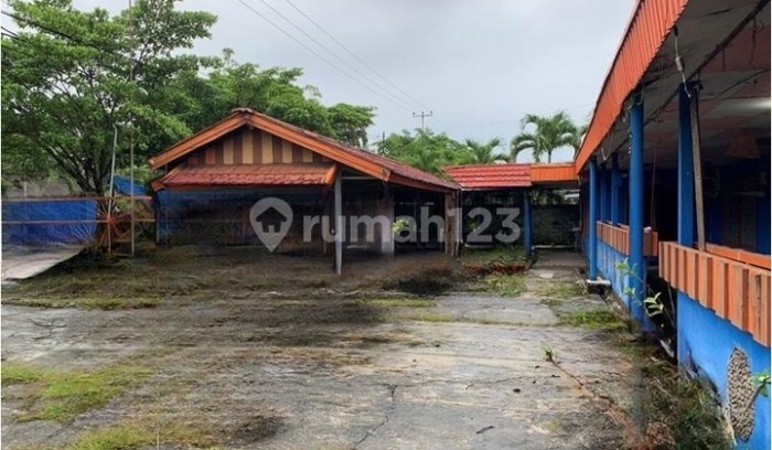 Jual Ruang Usaha di Batom, Pegunungan Bintang | Daftar Terbaru 2025 Daun penggemuk ayam di Batom, Kab. Pegunungan Bintang