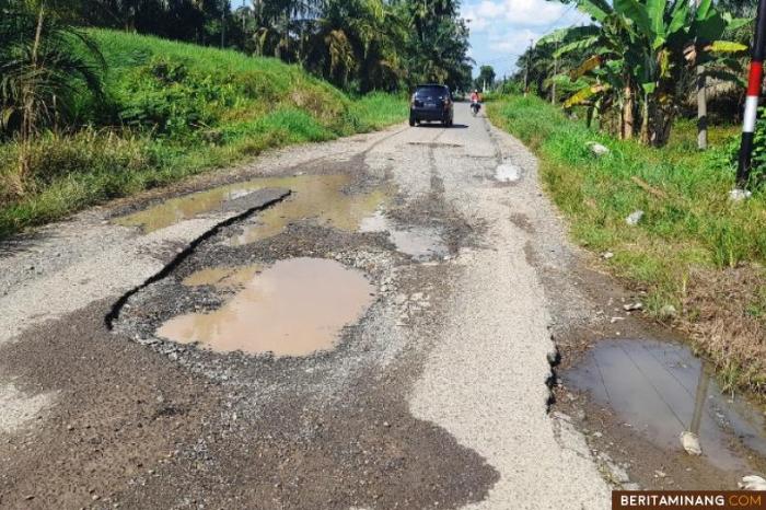 Keluarga Mantan Wali Nagari di Dharmasraya Serahkan Siamang ke BKSDA ... Keluarga Mantan Wali Nagari di Dharmasraya Serahkan Siamang ke BKSDA ...