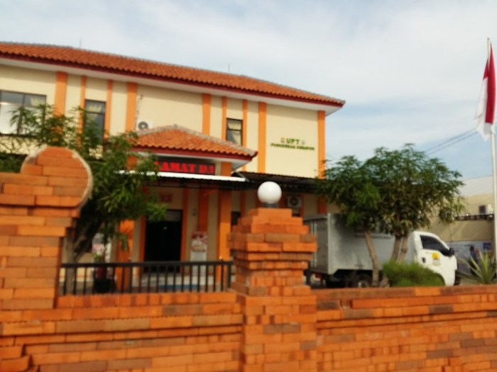 PASAR AYAM KEDIRI MENGHASILKAN AYAM CAKEP DAN BAGUS - YouTube