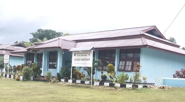 Daun penggemuk ayam di Oridek, Kab. Biak Numfor