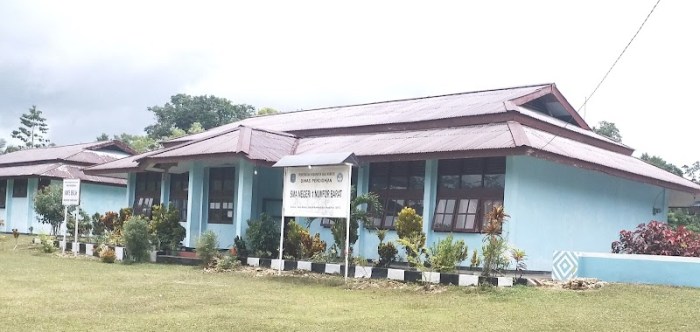 Daun penggemuk ayam di Oridek, Kab. Biak Numfor