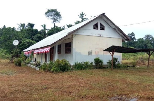 Daun penggemuk ayam di Waris, Kab. Keerom