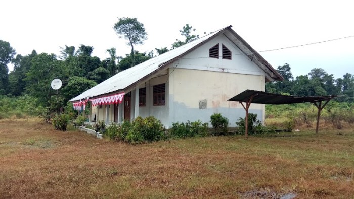 Daun penggemuk ayam di Waris, Kab. Keerom