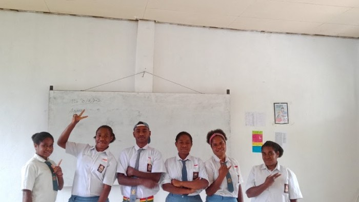 Daun penggemuk ayam di Mokoni, Kab. Lanny Jaya