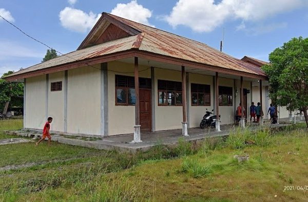 Daun penggemuk ayam di Kaitaro, Kab. Teluk Bintuni