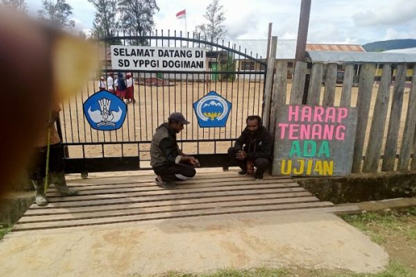 Daun penggemuk ayam di Mapia, Kab. Dogiyai