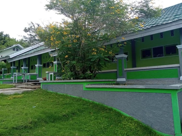 Daun penggemuk ayam di Sindue Tombusabora, Donggala