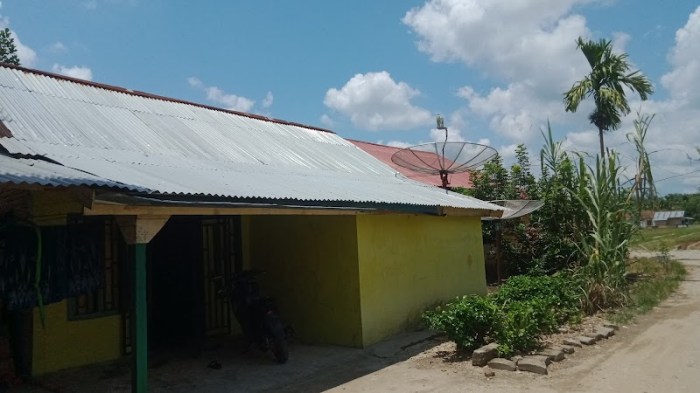 Ayam layer di Tiang Pumpung, Kabupaten Merangin