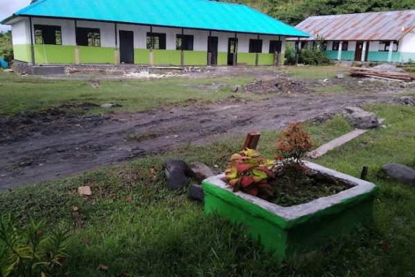 Daun penggemuk ayam di Kirihi, Kab. Waropen