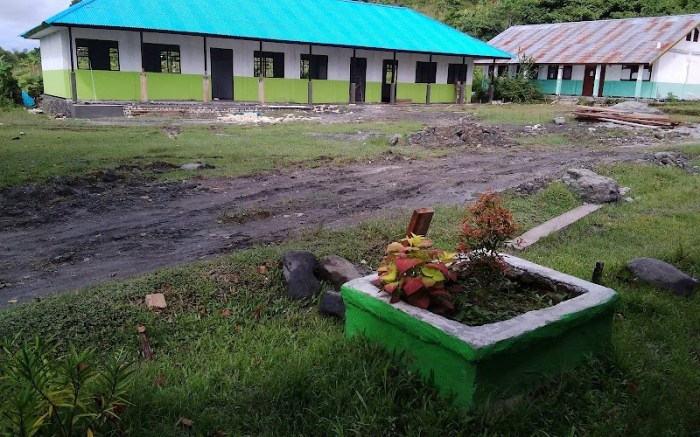 Karnaval Budaya Nusantara Meriahkan Semarak HUT RI ke-78 di Waropen ... Daun penggemuk ayam di Kirihi, Kab. Waropen