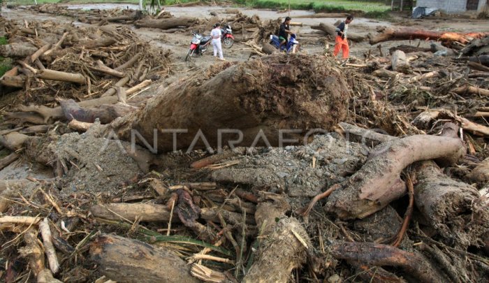 Ayam ternak di Koto Parik Gadang Diateh, Kabupaten Solok Selatan