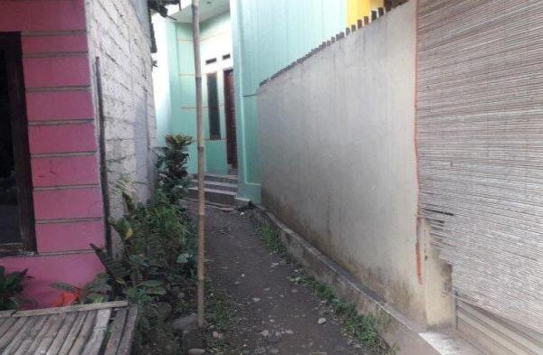 Afkir ayam broiler - YouTube