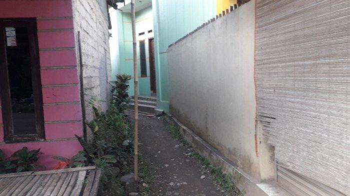 Afkir ayam broiler - YouTube Afkir ayam broiler - YouTube