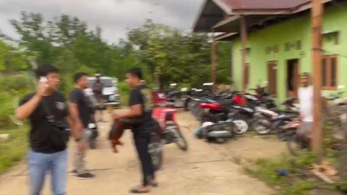 Daun penggemuk ayam di Sorong, Kab. Sorong