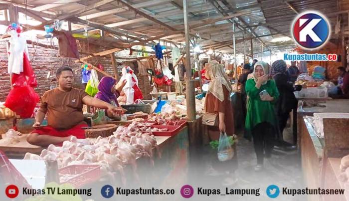 Harga ayam kampung potong di Sungkai Barat, Lampung Utara