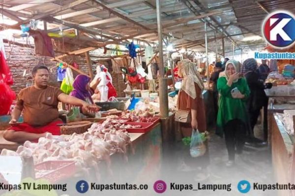 Harga ayam kampung potong di Ketapang, Lampung Selatan