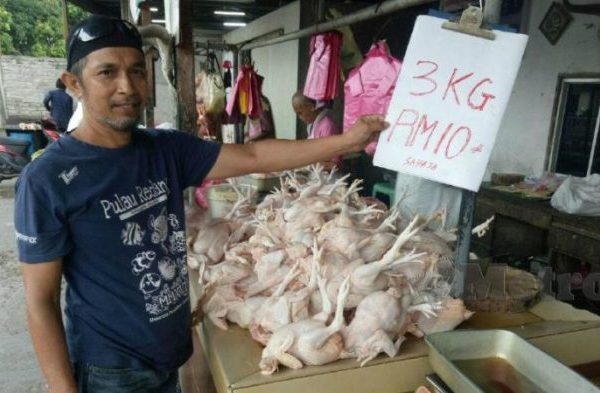 Harga ayam kampung potong di Metro Kibang, Lampung Timur