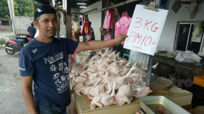 Harga ayam kampung potong di Jayakerta, Karawang