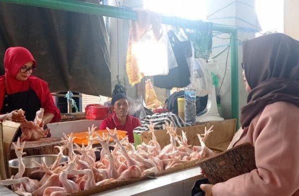 Harga ayam kampung potong di Cidaun, Cianjur