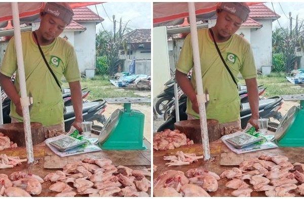 Jual Ayam Kampung Kecil Utuh per Ekor - Potong 10 - Kota Bandung ...