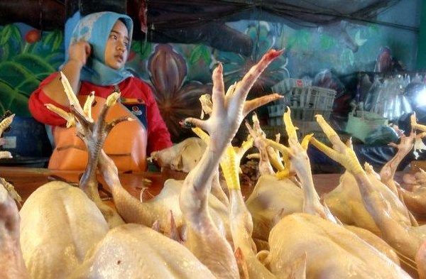 Ayam Gebug 24, Metro Timur - GoFood