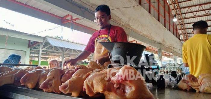 Harga Ayam Potong di Pasar Peterongan Jombang Turun, Sembako Naik ...