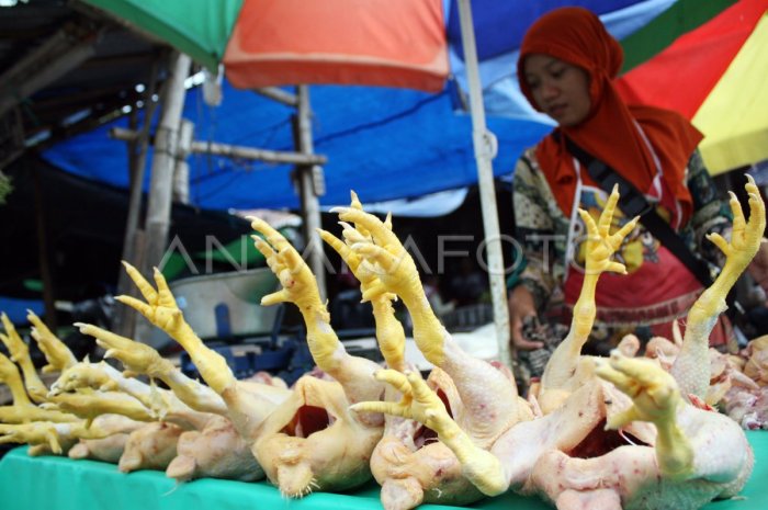HARGA AYAM POTONG NAIK | ANTARA Foto Harga ayam kampung potong di Kawali, Ciamis