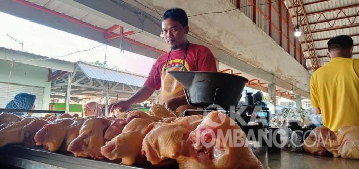 Harga Ayam Potong di Pasar Merangkak Naik