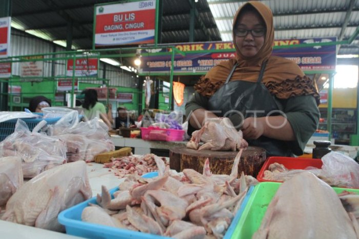 Jual AYAM KAMPUNG 0.7 KG | Shopee Indonesia Jual AYAM KAMPUNG 0.7 KG | Shopee Indonesia