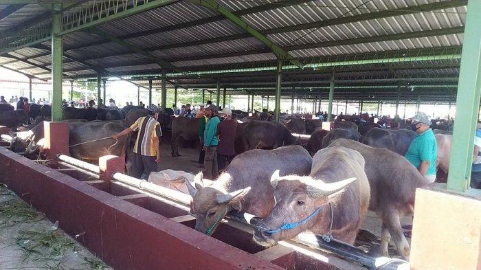 Daging kambing di Undaan, Kudus