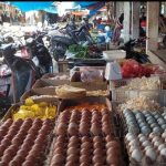 Ayam layer di Tebo Tengah, Kabupaten Tebo