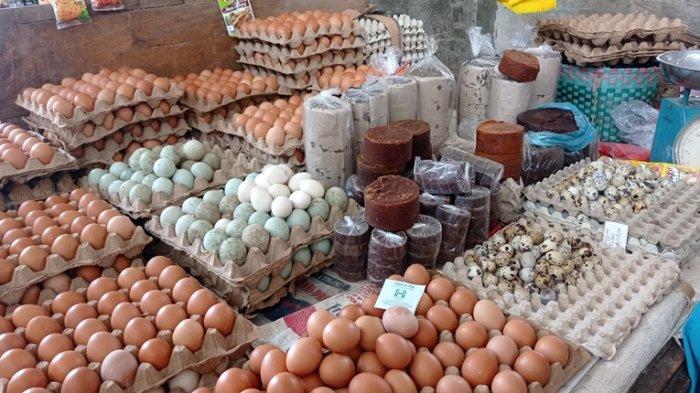 Budidaya ayam di Kota Agung, Tanggamus