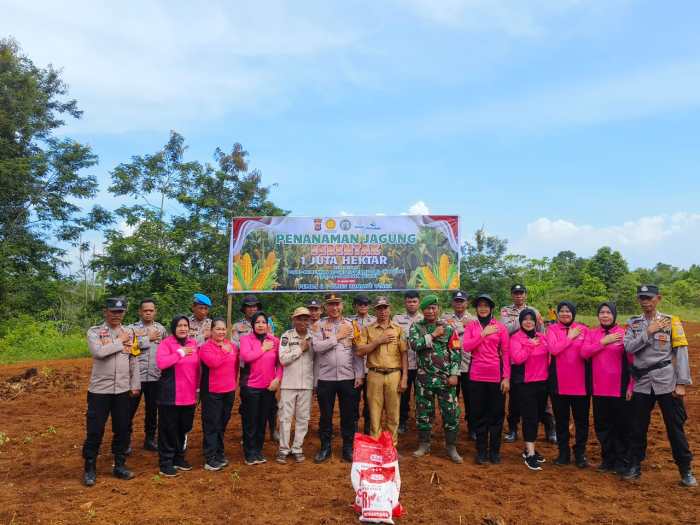 Ternak ayam petelur di Wiwirano, Konawe Utara