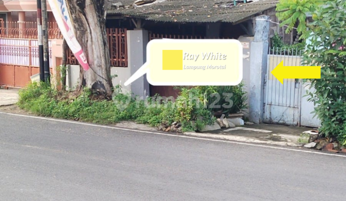 Daging kambing di Teluk Betung Barat, Kota Bandar Lampung