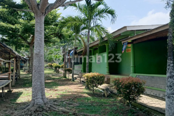 Pj. Gubernur Samsudin Kunjungi Usaha Peternakan Sapi Potong Hasil ...