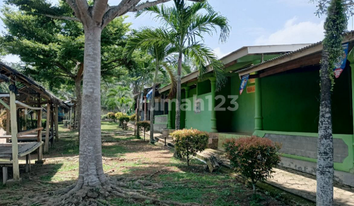 Pj. Gubernur Samsudin Kunjungi Usaha Peternakan Sapi Potong Hasil ... Pj. Gubernur Samsudin Kunjungi Usaha Peternakan Sapi Potong Hasil ...