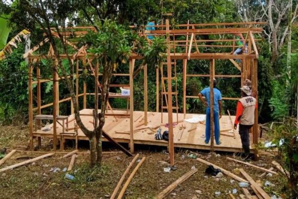 Anjlok! Begini Strategi Bapanas Dongkrak Harga Ayam Ras