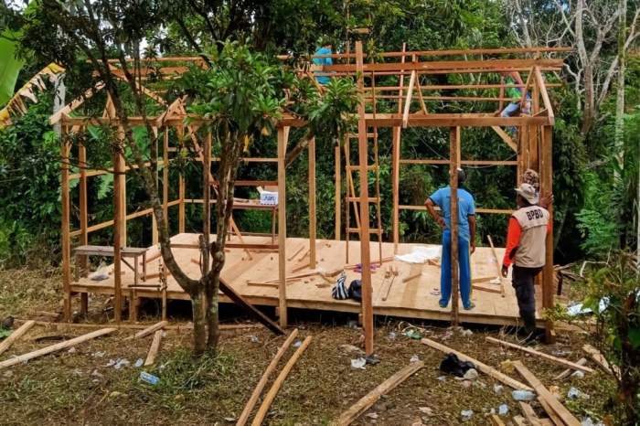 Anjlok! Begini Strategi Bapanas Dongkrak Harga Ayam Ras