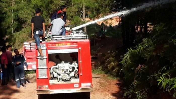 Mentan Dorong Tana Toraja Jadi Gerbang Utama Pertanian Daun penggemuk ayam di Rantetayo, Tana Toraja