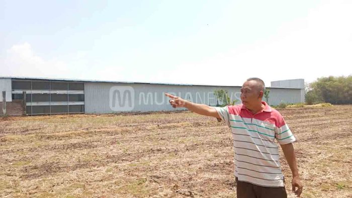 Bikin Bau, Warga Serutsadang Pati Minta Kandang Ayam Ditutup ... Bikin Bau, Warga Serutsadang Pati Minta Kandang Ayam Ditutup ...