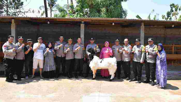 Daging kambing di Nalumsari, Jepara