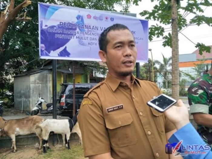 Ayam Ternak di Sibolga Selatan, Kota Sibolga