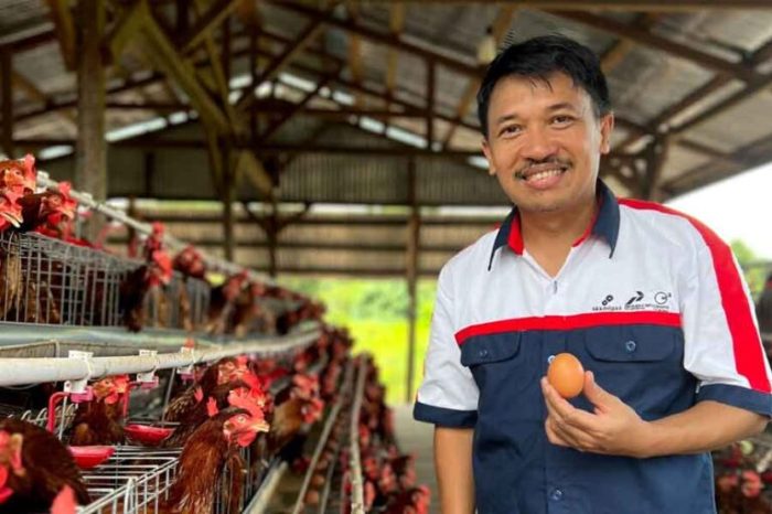 PHI Luncurkan Program Restorasi Mangrove dan Budidaya Ayam Petelur di ... Budidaya ayam di Raman Utara, Lampung Timur