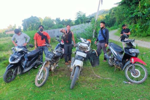 Daun penggemuk ayam di Tellu Wanua, Kota Palopo